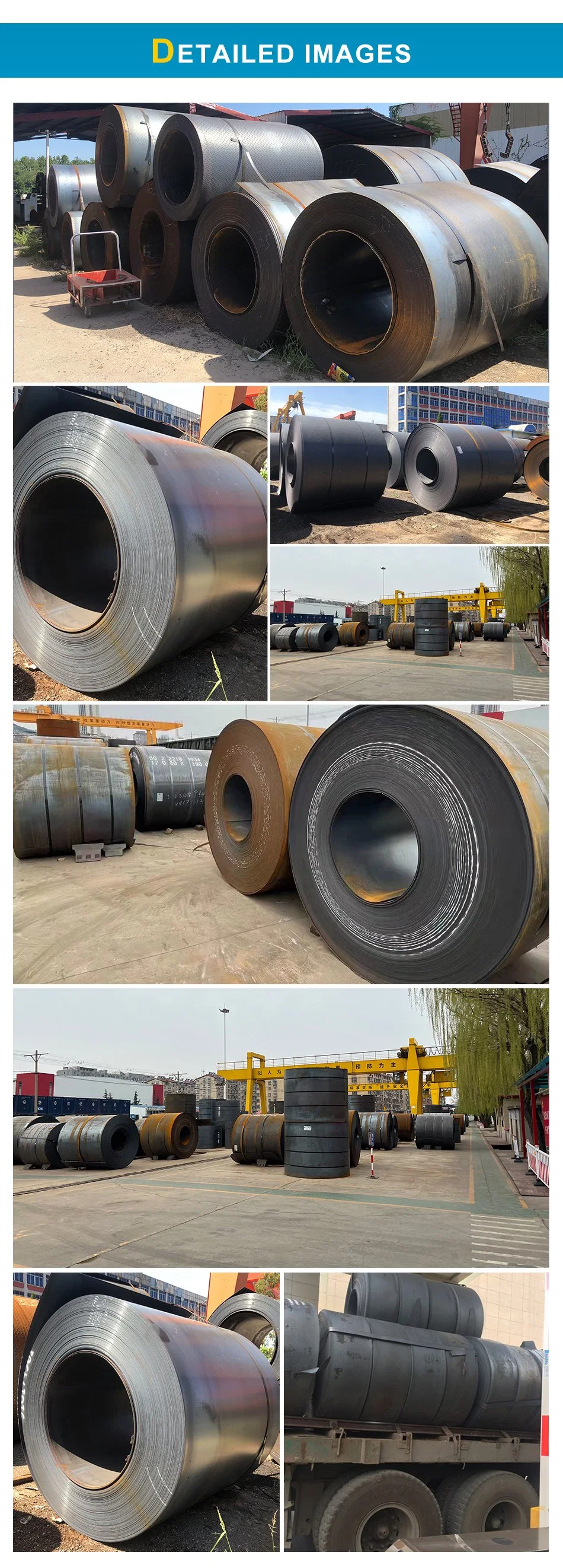 Q235 Q345 Q355 Ss400 S23jr S355jr A36 Hot Rolled Steel Coil 5mm 6mm 8mm 1219mm 1250mm 1500mm Low Carbon Steel Coil